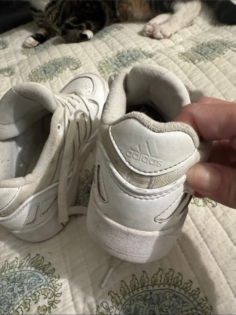 adidas Women’s White Low-Top Sneakers